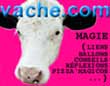 Vache.com